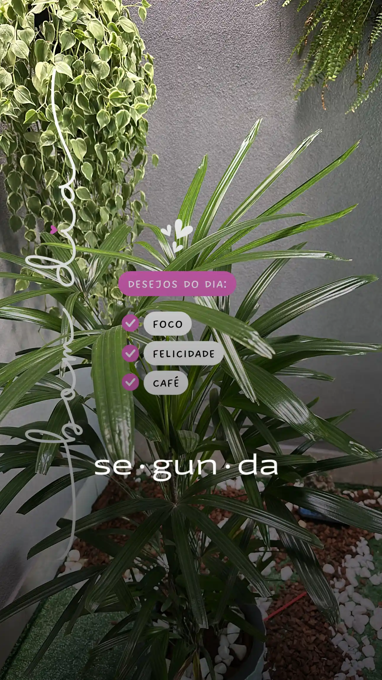 Exemplo de tela do ColaPack no passo 3